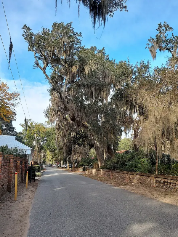 Bluffton, South Carolina